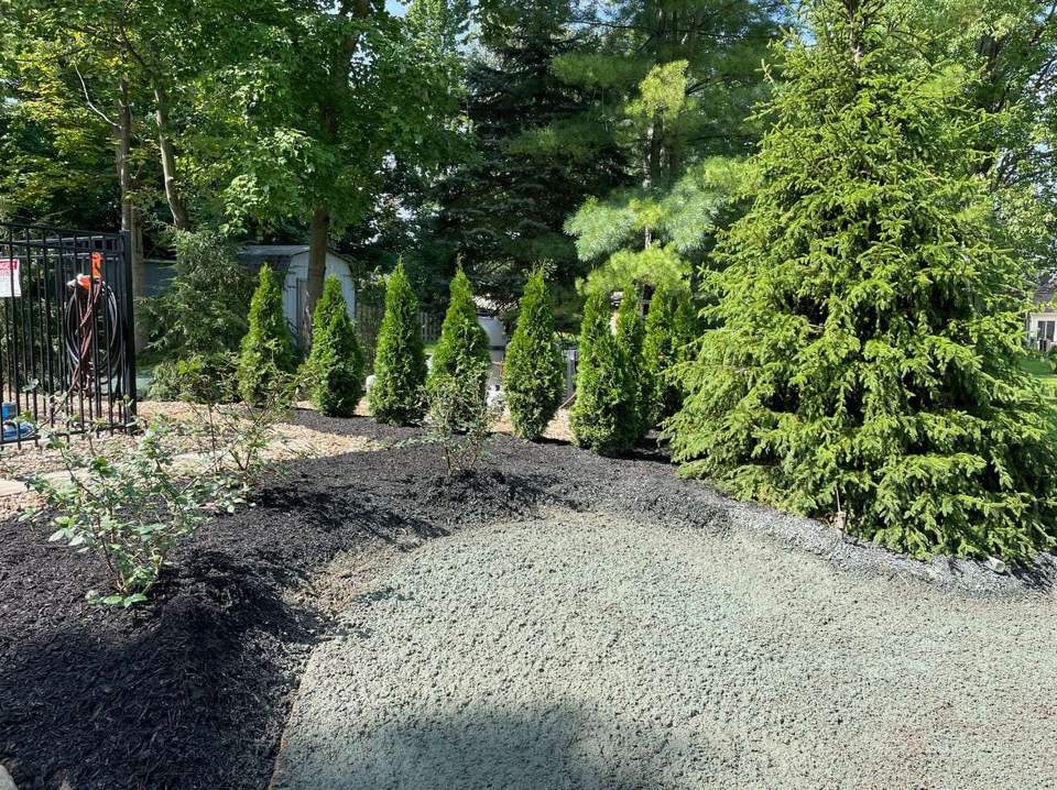 Fresh lawn installation area prepared for establishment